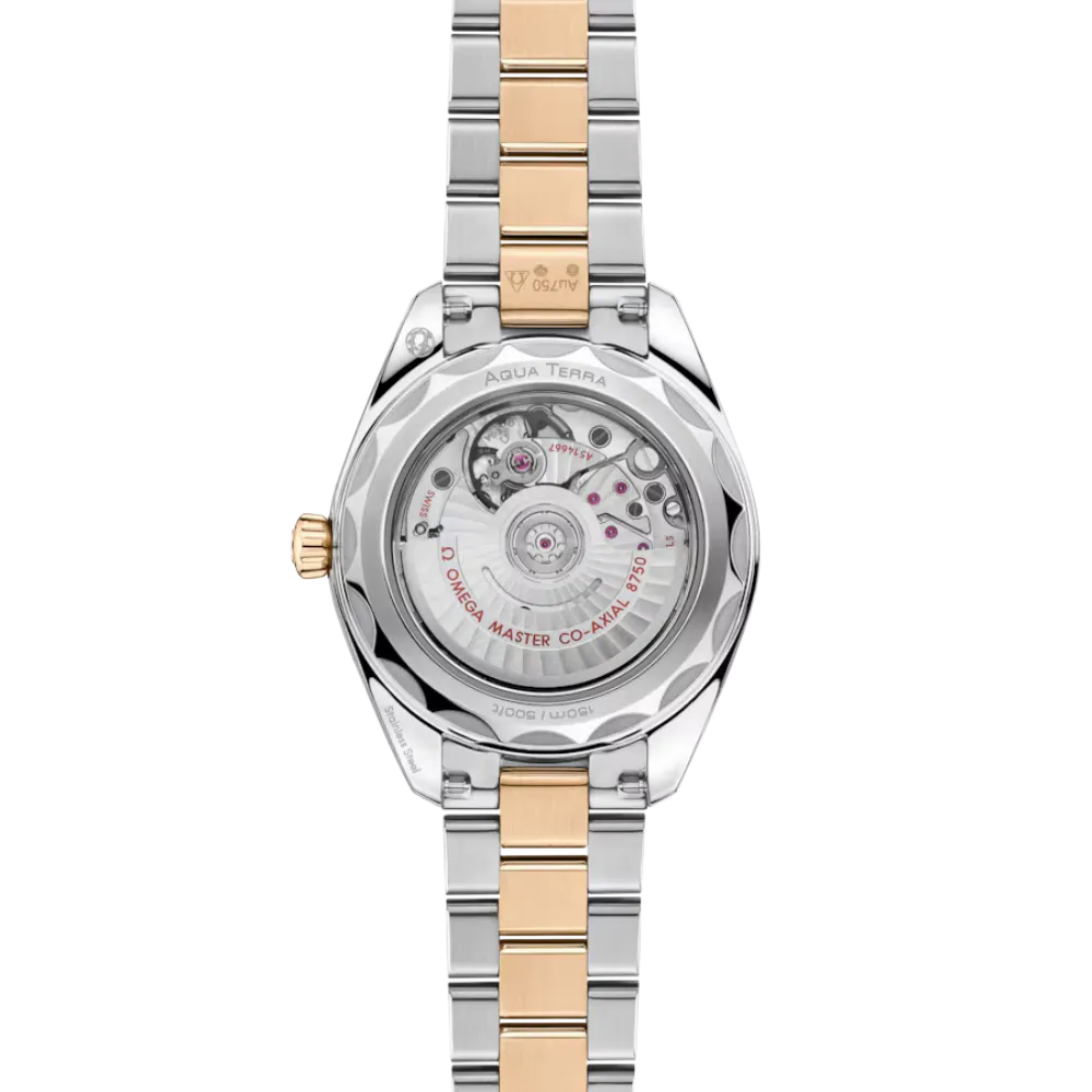 Seamaster Aqua Terra 150M 30 mm, steel ‑ Moonshine gold on steel ‑ Moonshine gold Ref. 220.25.30.20.55.001 - Image 2