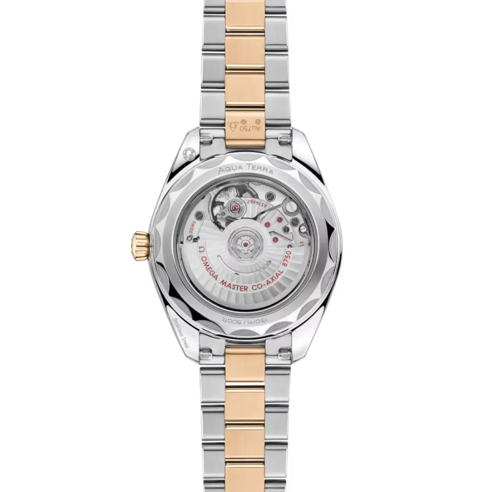 Seamaster Aqua Terra 150M 30 mm, steel ‑ Moonshine gold on steel ‑ Moonshine gold Ref. 220.20.30.20.02.001 - Image 2