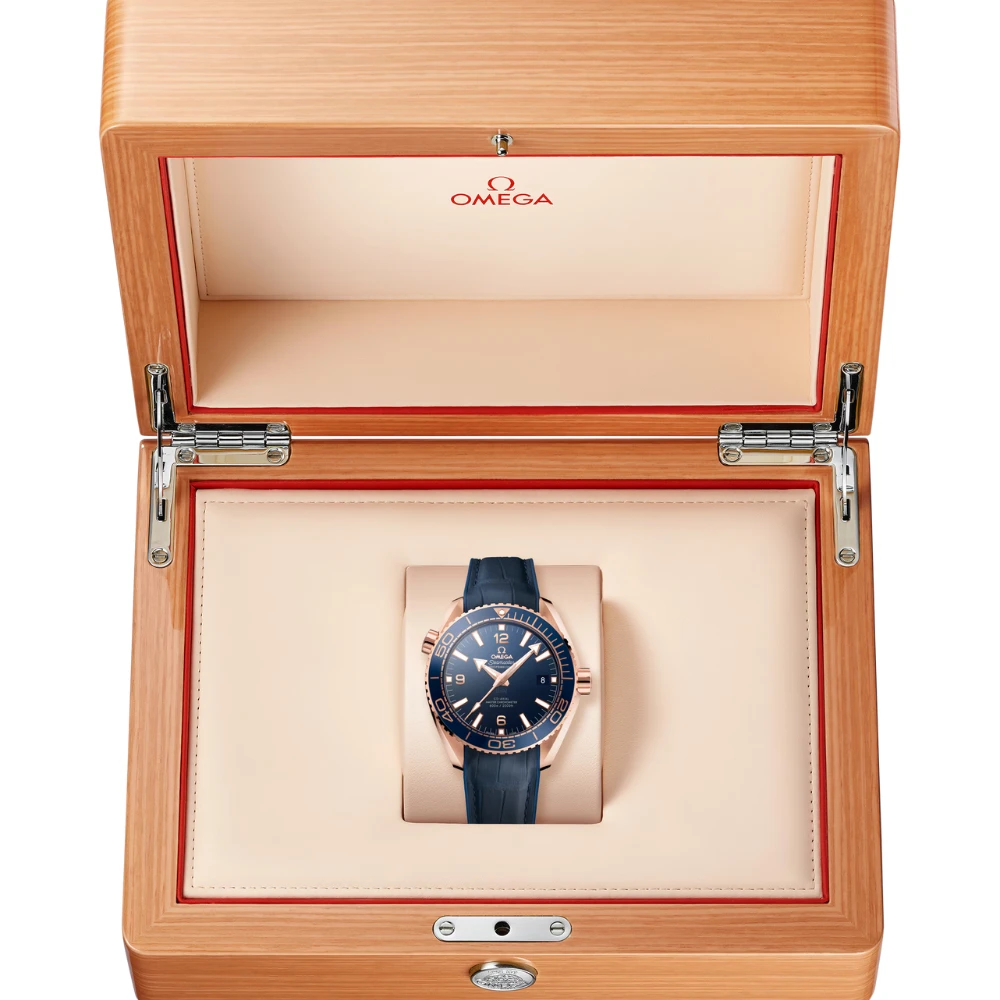 Omega Seamaster PLANET OCEAN 600M - Image 3