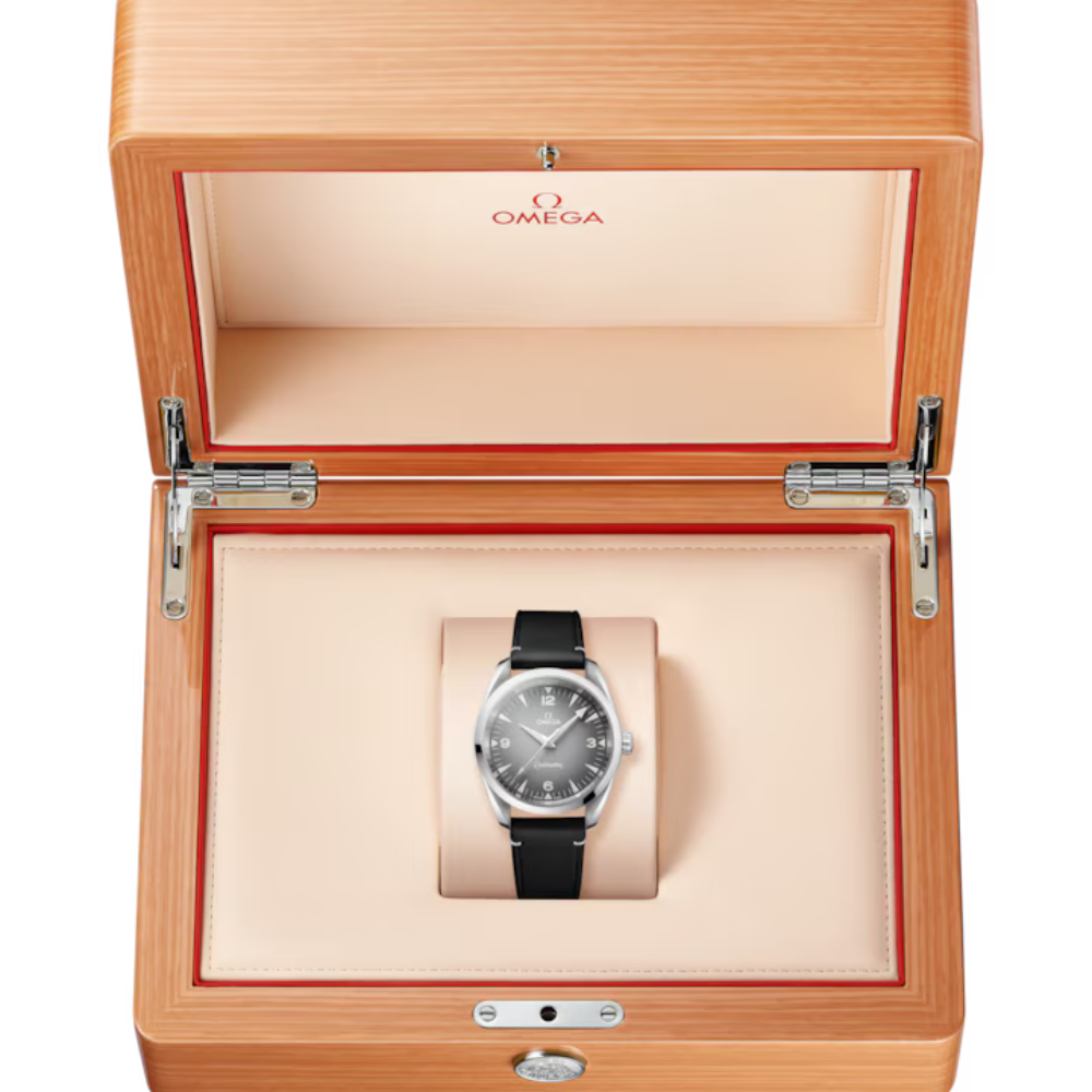 Seamaster Railmaster Ref. 235.12.38.20.06.001 - Image 5