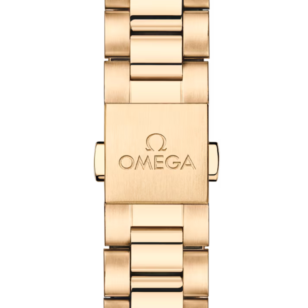 Seamaster Aqua Terra 150M 30 mm, Moonshine gold on Moonshine gold Ref. 220.55.30.20.55.001 - Image 4